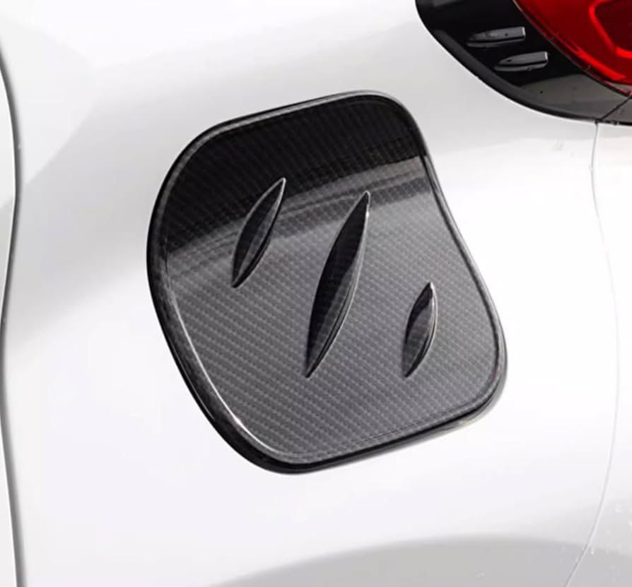 Amazon.com: JIEOSDIN Car Accessories Exterior Gas Fuel Tank